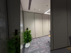 Одноколесная подвеска movbale индивидуальная перегородка